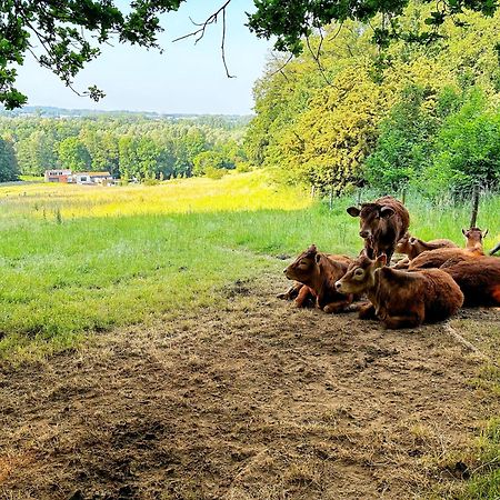 B&B De Muldermolen Schinnen Dış mekan fotoğraf