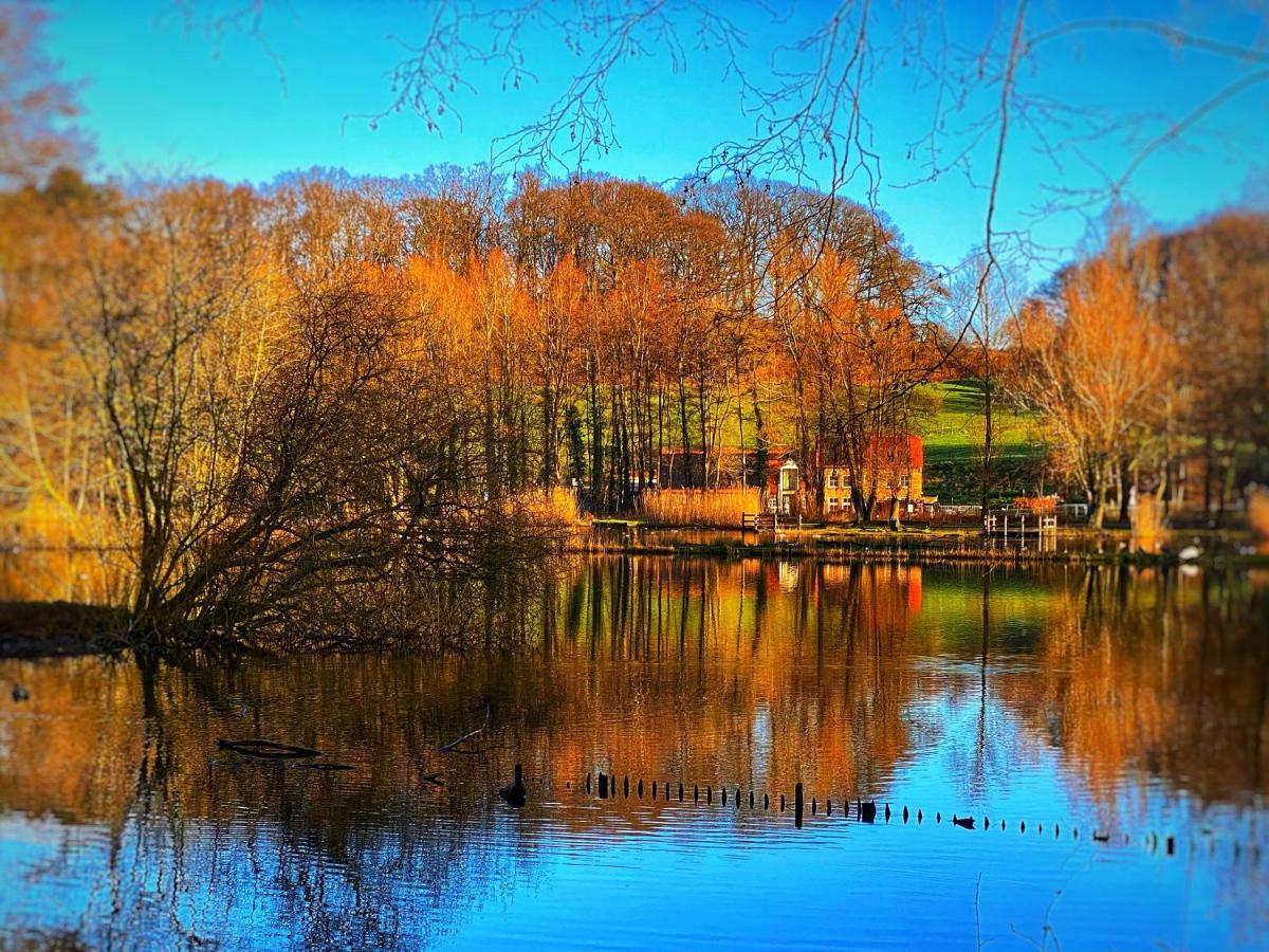 B&B De Muldermolen Schinnen Dış mekan fotoğraf